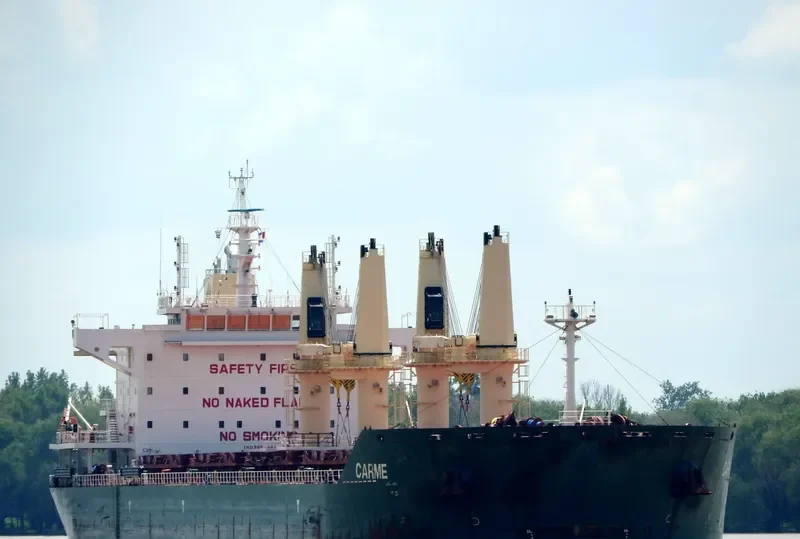 CARME Bulk Carrier IMO 9697961 photo 10