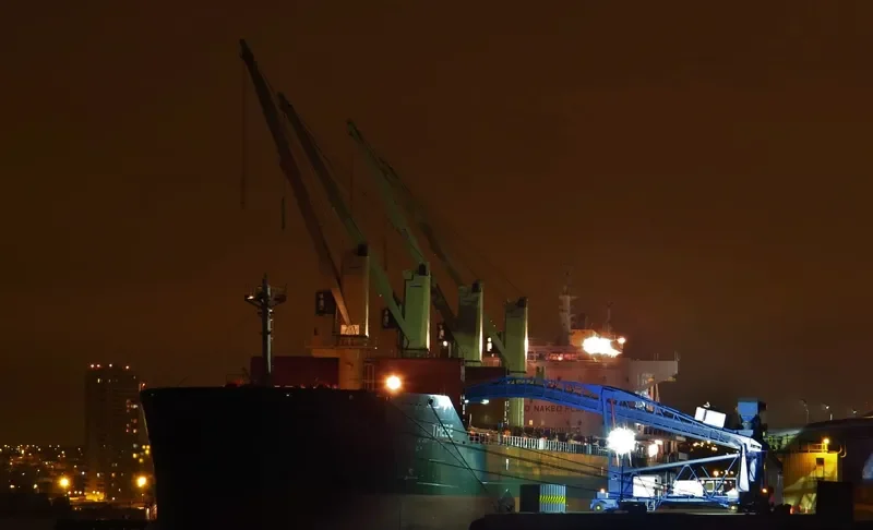 THEBE Bulk Carrier IMO 9697973 photo 2