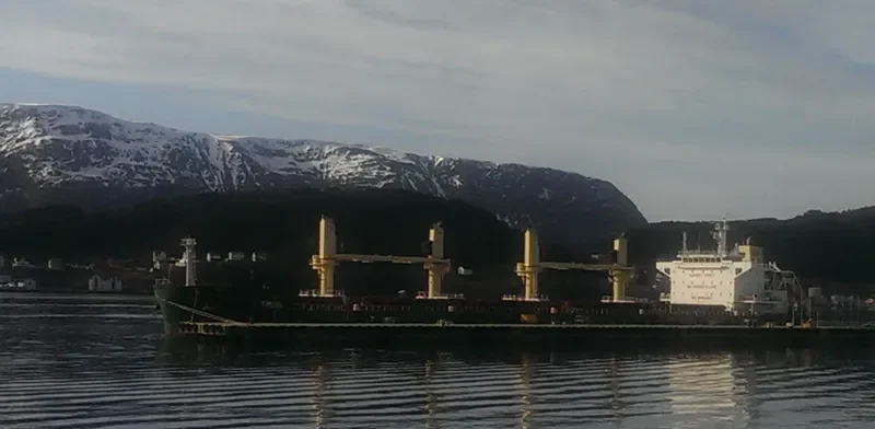 THEBE Bulk Carrier IMO 9697973 photo 8