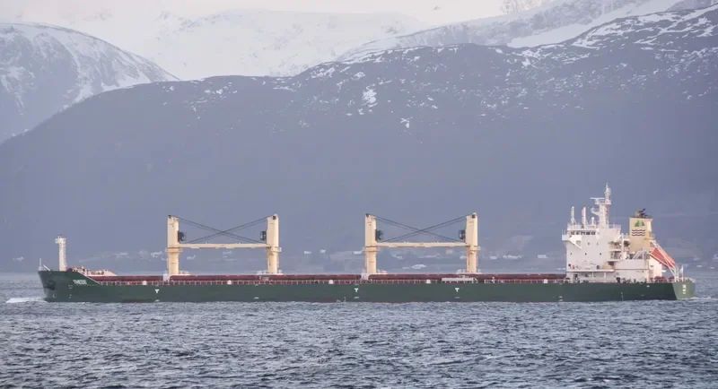 THEBE Bulk Carrier IMO 9697973 photo 9