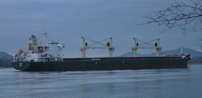 THEBE Bulk Carrier IMO 9697973 photo 10