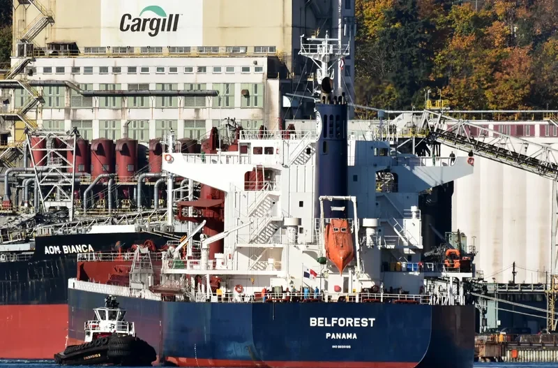 BELFOREST Bulk Carrier IMO 9698185