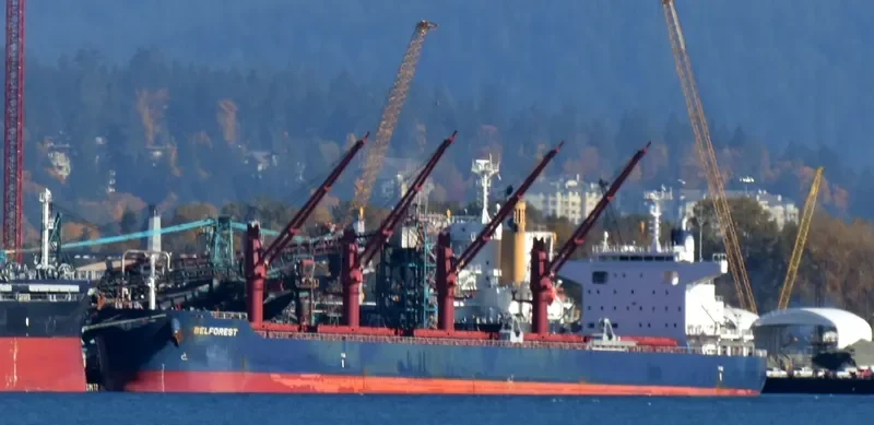 BELFOREST Bulk Carrier IMO 9698185 photo 2