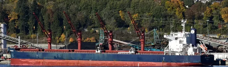 BELFOREST Bulk Carrier IMO 9698185 photo 3