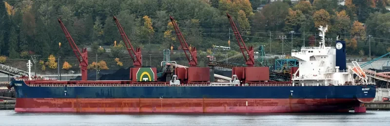 BELFOREST Bulk Carrier IMO 9698185 photo 4