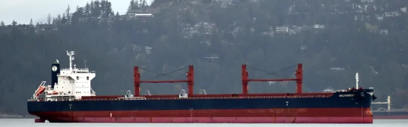BELFOREST Bulk Carrier IMO 9698185 photo 5