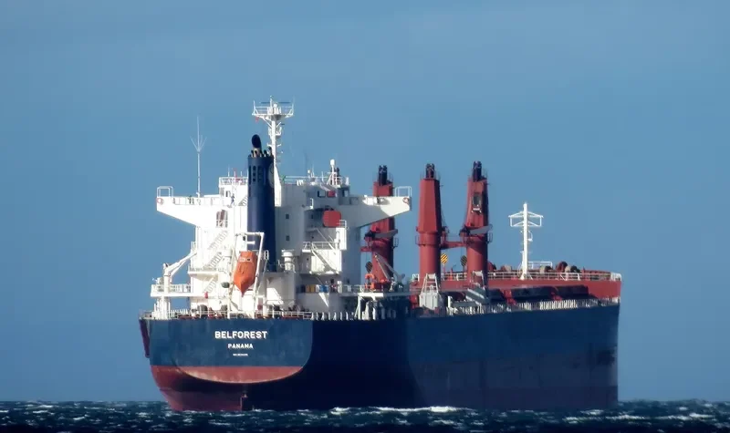 BELFOREST Bulk Carrier IMO 9698185 photo 6