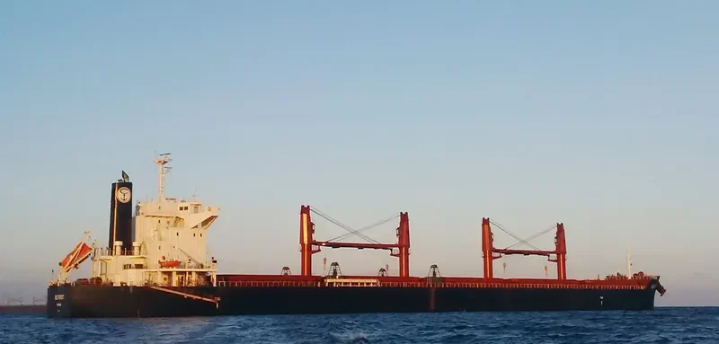 BELFOREST Bulk Carrier IMO 9698185 photo 7