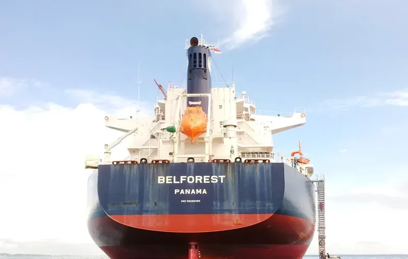 BELFOREST Bulk Carrier IMO 9698185 photo 8