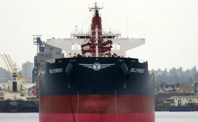 BELFOREST Bulk Carrier IMO 9698185 photo 10