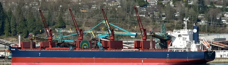 BELISLAND Bulk Carrier IMO 9698197 photo 7