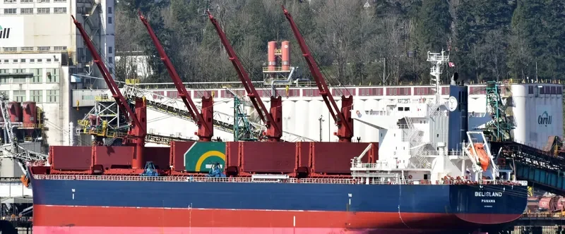 BELISLAND Bulk Carrier IMO 9698197 photo 8