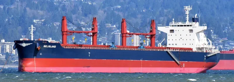BELISLAND Bulk Carrier IMO 9698197 photo 9