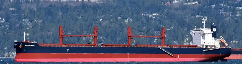 BELISLAND Bulk Carrier IMO 9698197 photo 10