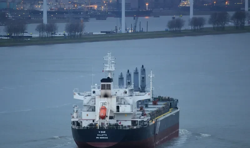 V DUE Bulk Carrier IMO 9698202