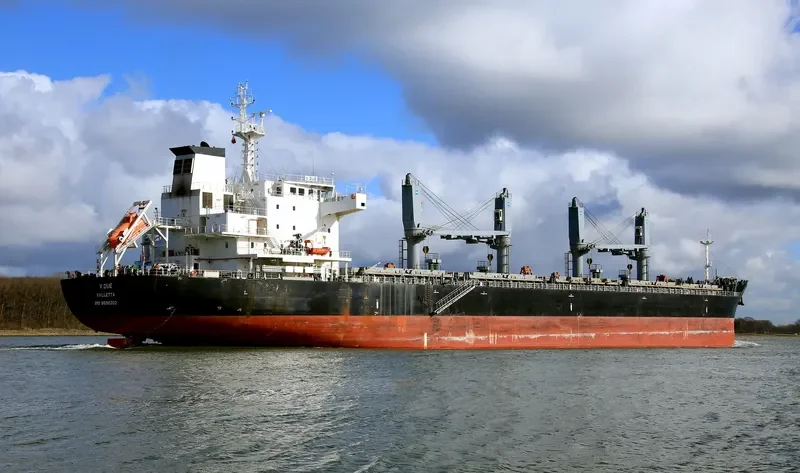 V DUE Bulk Carrier IMO 9698202 photo 2