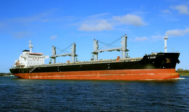 V DUE Bulk Carrier IMO 9698202 photo 3