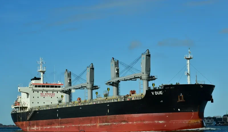 V DUE Bulk Carrier IMO 9698202 photo 4