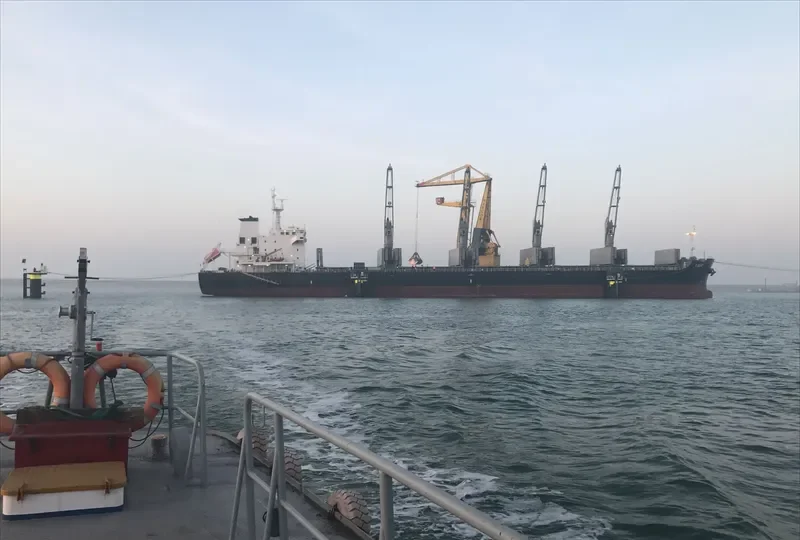 V DUE Bulk Carrier IMO 9698202 photo 8