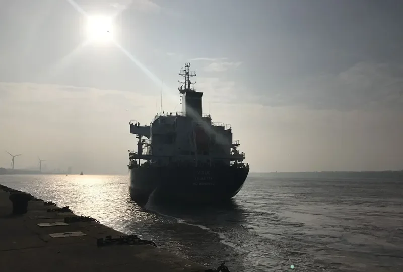 V DUE Bulk Carrier IMO 9698202 photo 9