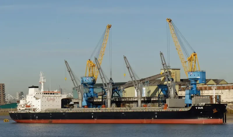 V DUE Bulk Carrier IMO 9698202 photo 10
