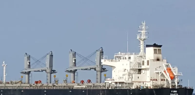 V UNO Bulk Carrier IMO 9698214 photo 5