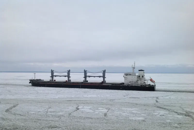 V UNO Bulk Carrier IMO 9698214 photo 6