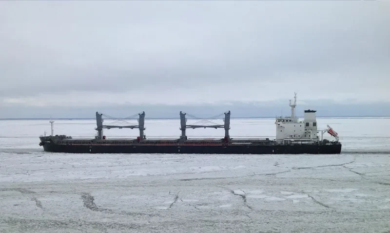 V UNO Bulk Carrier IMO 9698214 photo 7