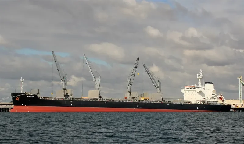 V UNO Bulk Carrier IMO 9698214 photo 8