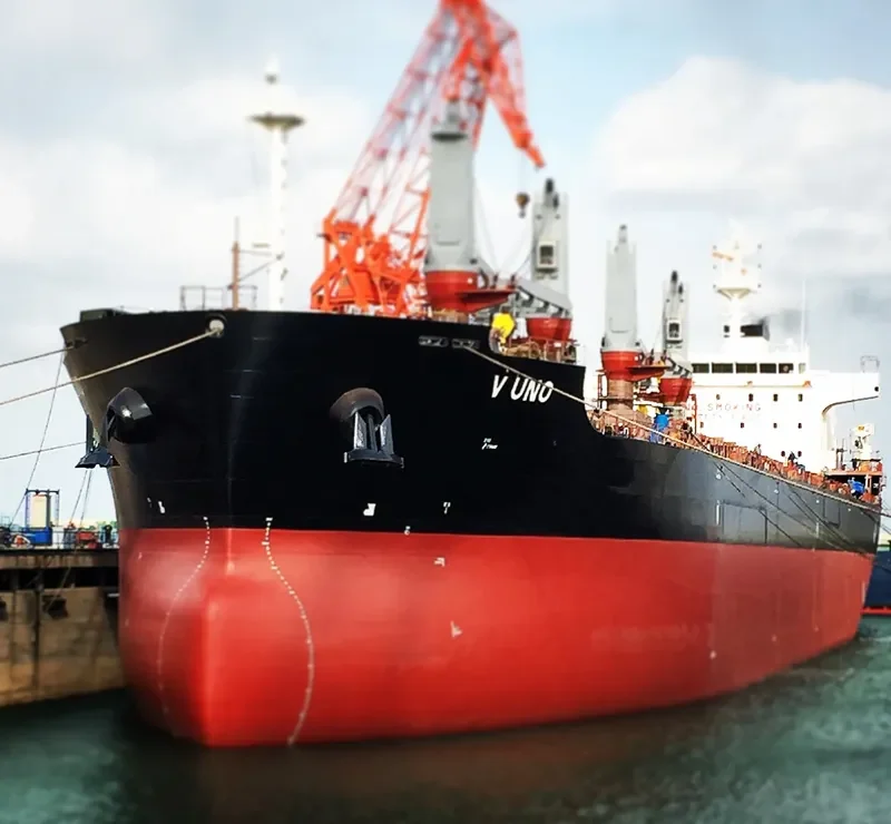 V UNO Bulk Carrier IMO 9698214 photo 10