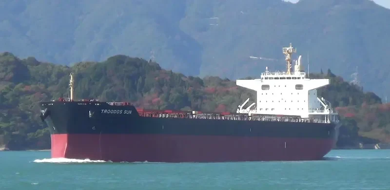 TROODOS SUN Bulk Carrier IMO 9698238