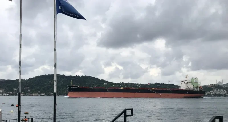 TROODOS SUN Bulk Carrier IMO 9698238 photo 2