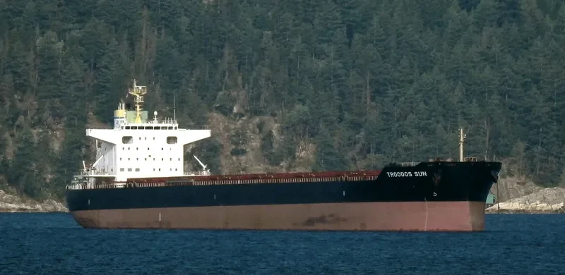 TROODOS SUN Bulk Carrier IMO 9698238 photo 5