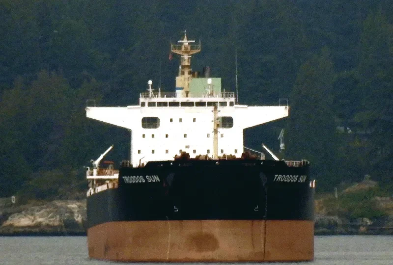TROODOS SUN Bulk Carrier IMO 9698238 photo 6