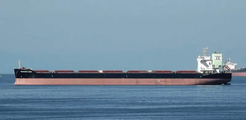 TROODOS SUN Bulk Carrier IMO 9698238 photo 7