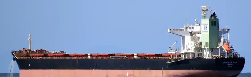 TROODOS SUN Bulk Carrier IMO 9698238 photo 8