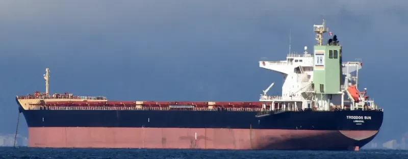 TROODOS SUN Bulk Carrier IMO 9698238 photo 9