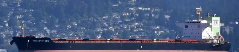 TROODOS SUN Bulk Carrier IMO 9698238 photo 10
