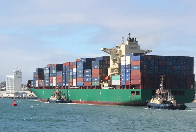 WIDE INDIA Container Ship IMO 9698252
