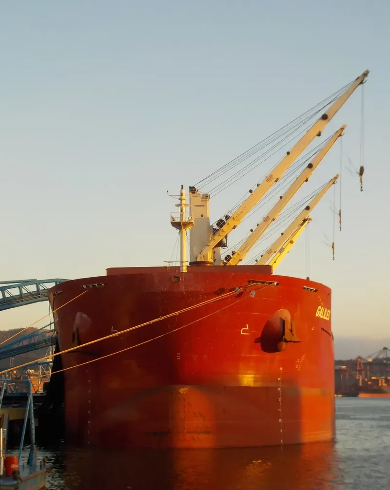 GALILEO Bulk Carrier IMO 9698317 photo 2