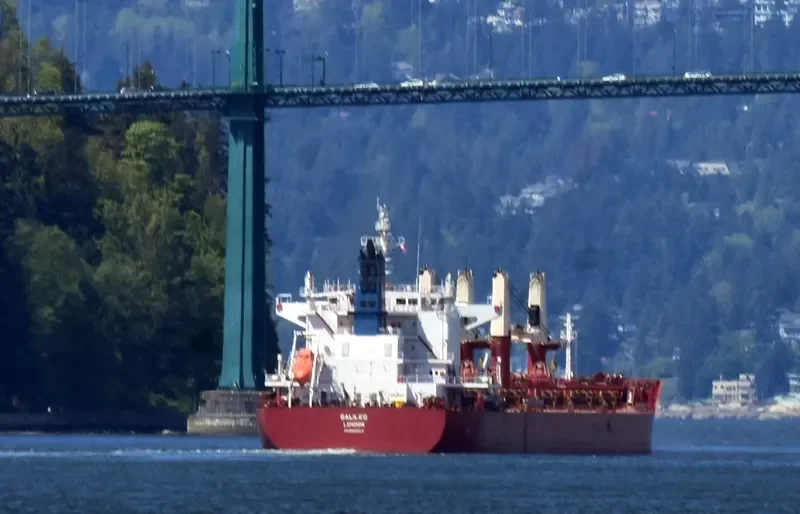GALILEO Bulk Carrier IMO 9698317 photo 6