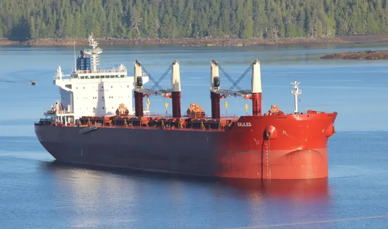 GALILEO Bulk Carrier IMO 9698317 photo 8