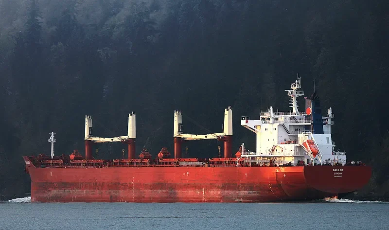 GALILEO Bulk Carrier IMO 9698317 photo 10