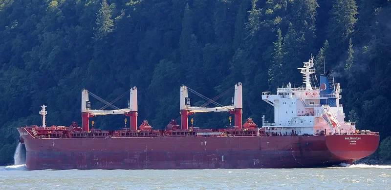SADLERS WELLS Bulk Carrier IMO 9698329