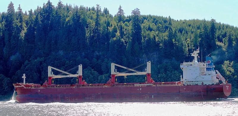 SADLERS WELLS Bulk Carrier IMO 9698329 photo 2