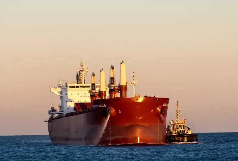 SADLERS WELLS Bulk Carrier IMO 9698329 photo 7