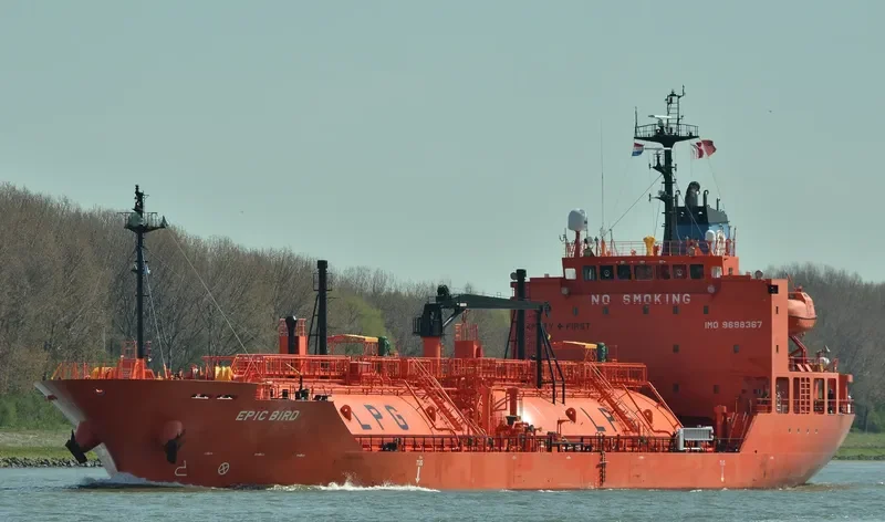 EPIC BIRD General Cargo IMO 9698367 photo 8