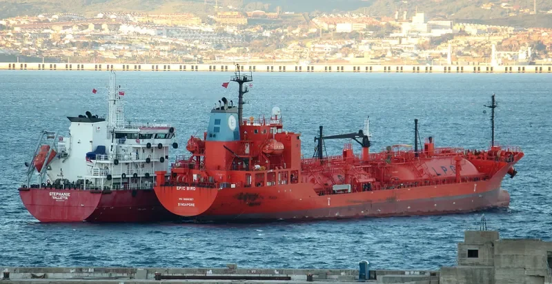 EPIC BIRD General Cargo IMO 9698367 photo 10