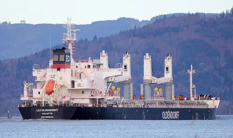 CERES ONE Bulk Carrier IMO 9698434
