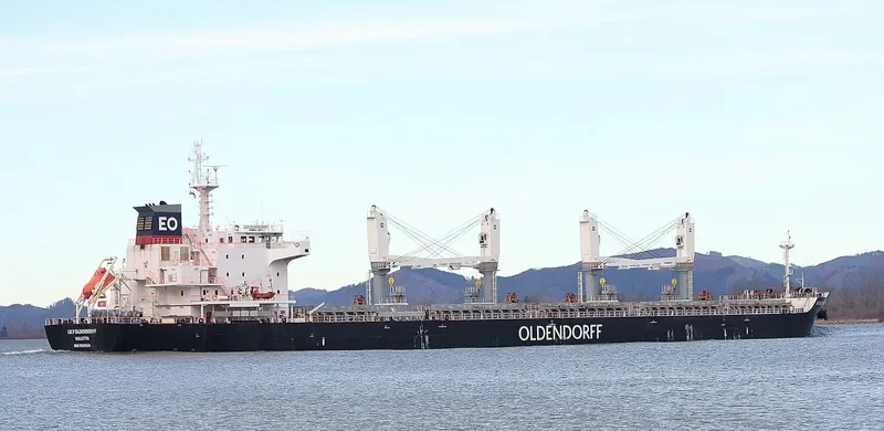 CERES ONE Bulk Carrier IMO 9698434 photo 3